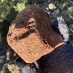 Trace d'objets archéologiques