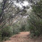 Ouverture de nouvelle trace