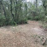 Ouverture de nouvelle trace