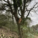 Exemple de dégât collatéral