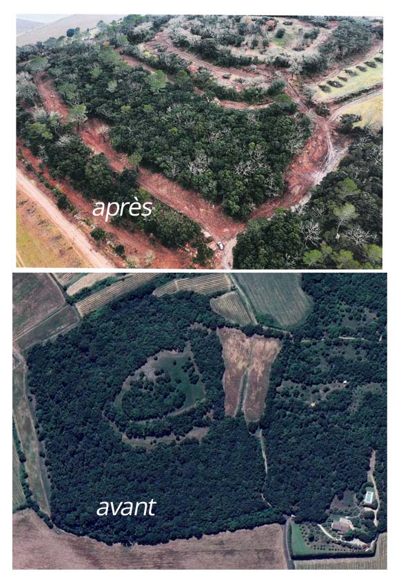Le défrichement du Bois de Castille