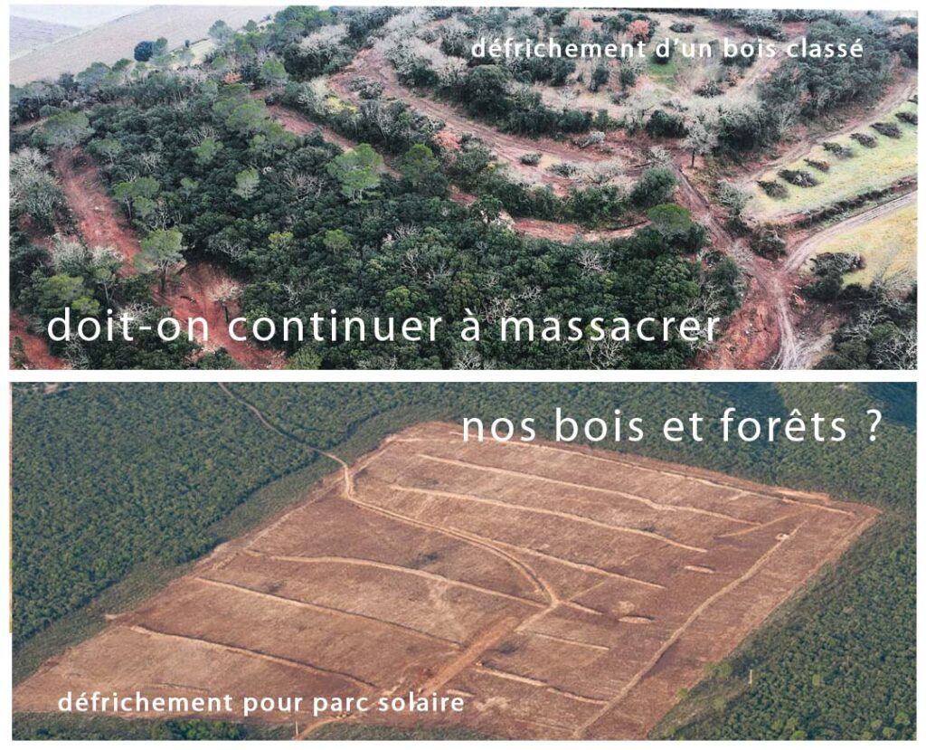 La Sorève organise pour son Assemblée Générale une table ronde sur le devenir de la forêt méditerranéenne face aux enjeux climatiques.